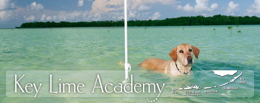 Key Lime Academy